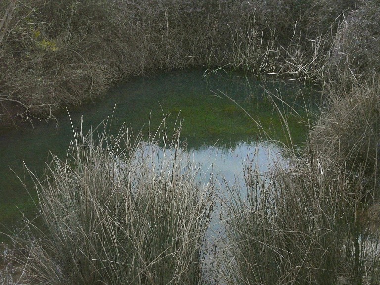 In un podere vicino Massa Marittima (GR)